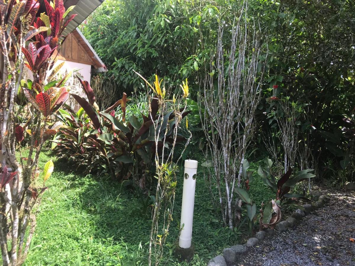 Hostería los Cedros de Mindo Exterior foto