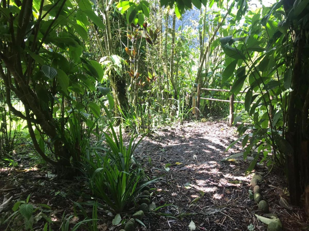 Hostería los Cedros de Mindo Exterior foto